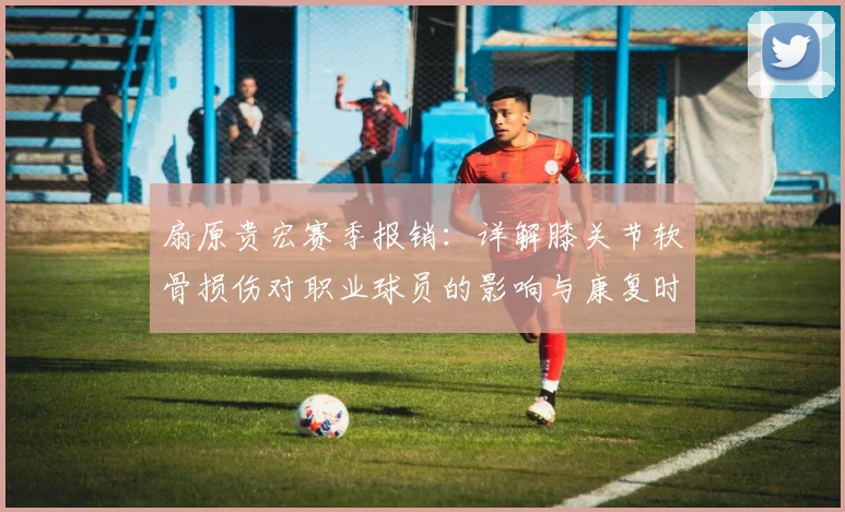 扇原贵宏赛季报销：详解膝关节软骨损伤对职业球员的影响与康复时间线